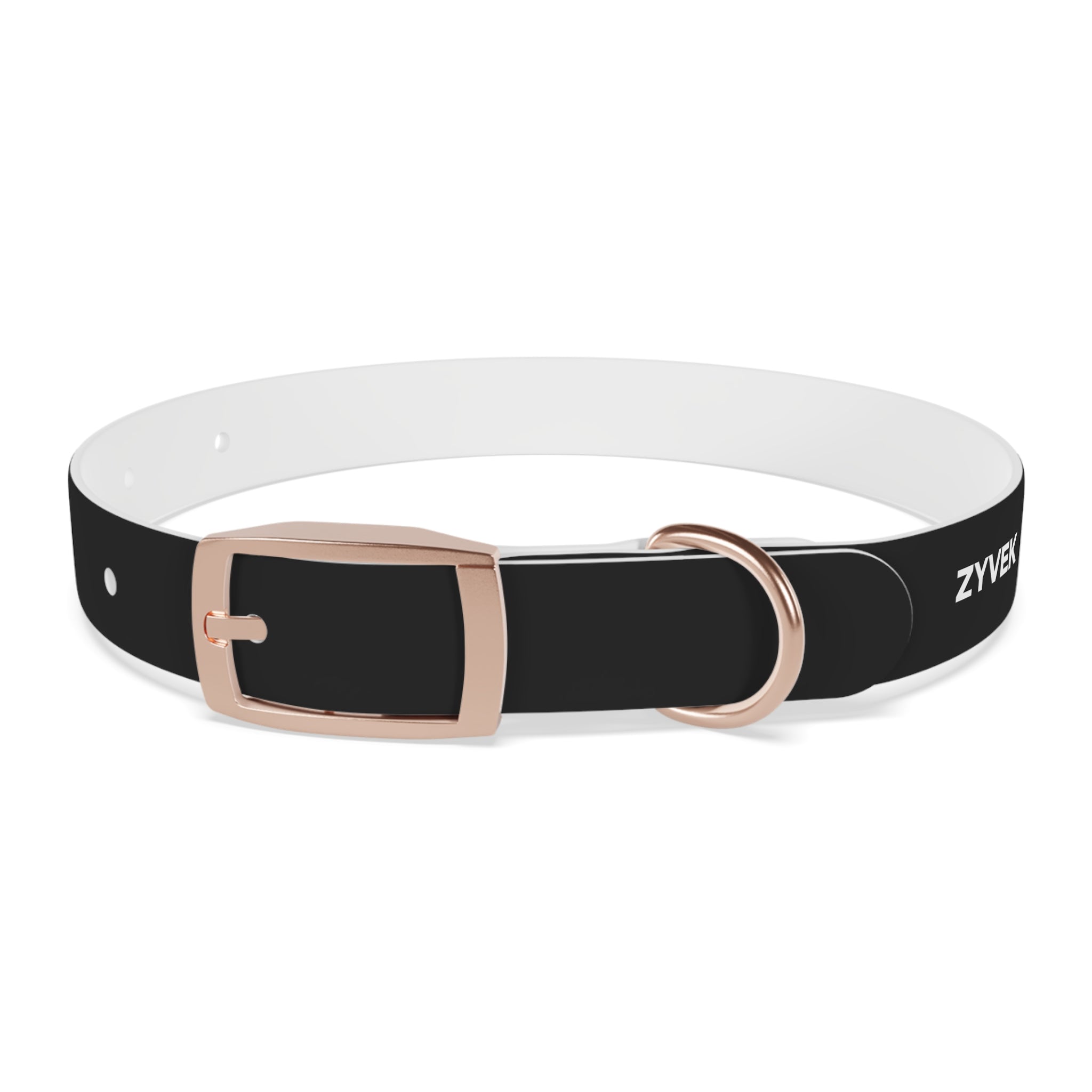 ZYVEK Gothic “Best Friend Forever” Dog Collar – Minimal Skull Edition