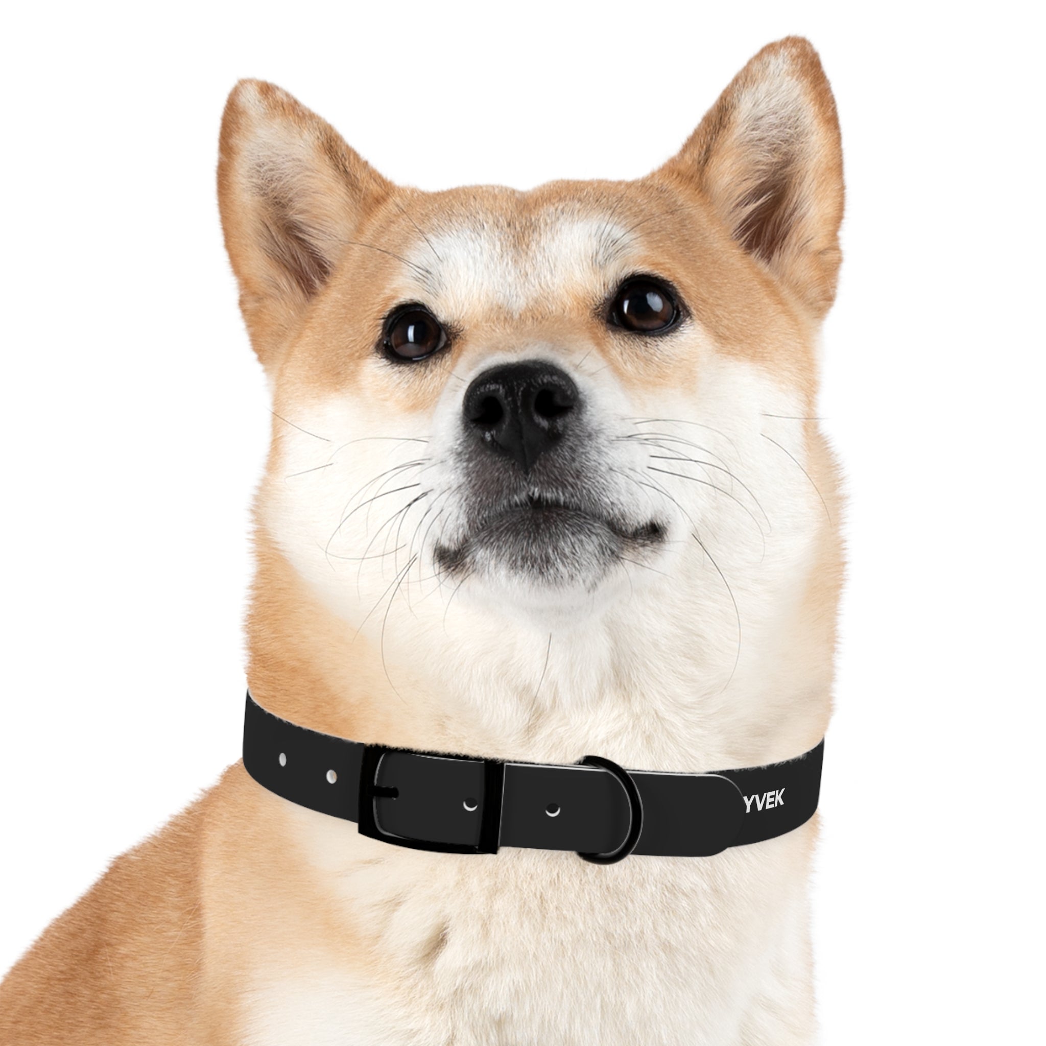 ZYVEK Gothic “Best Friend Forever” Dog Collar – Minimal Skull Edition
