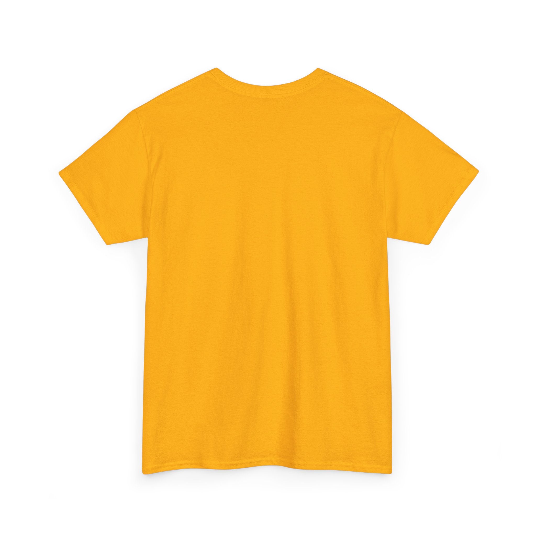 ZYVEK Flying men Graphic T-Shirt