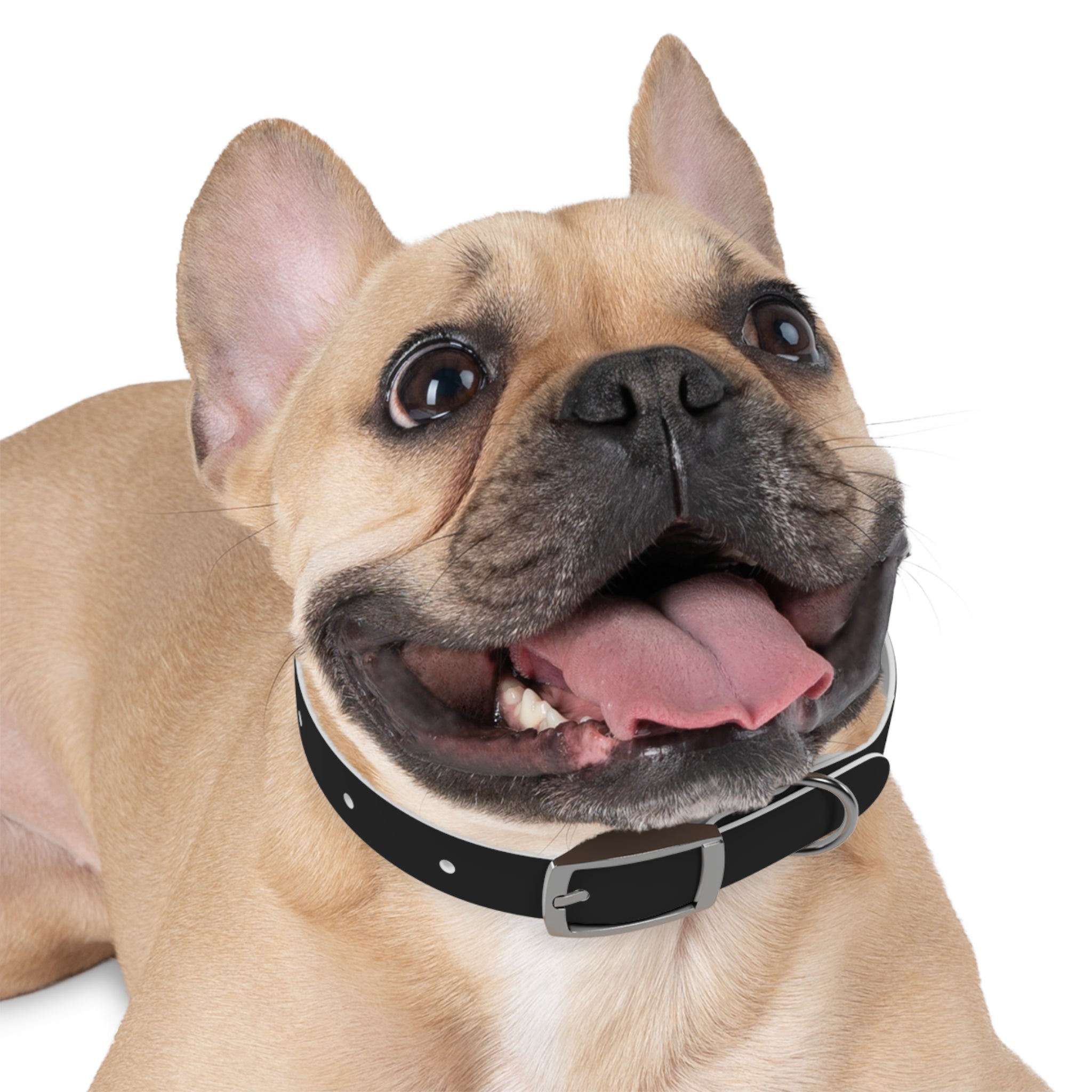 ZYVEK Gothic “Best Friend Forever” Dog Collar – Minimal Skull Edition