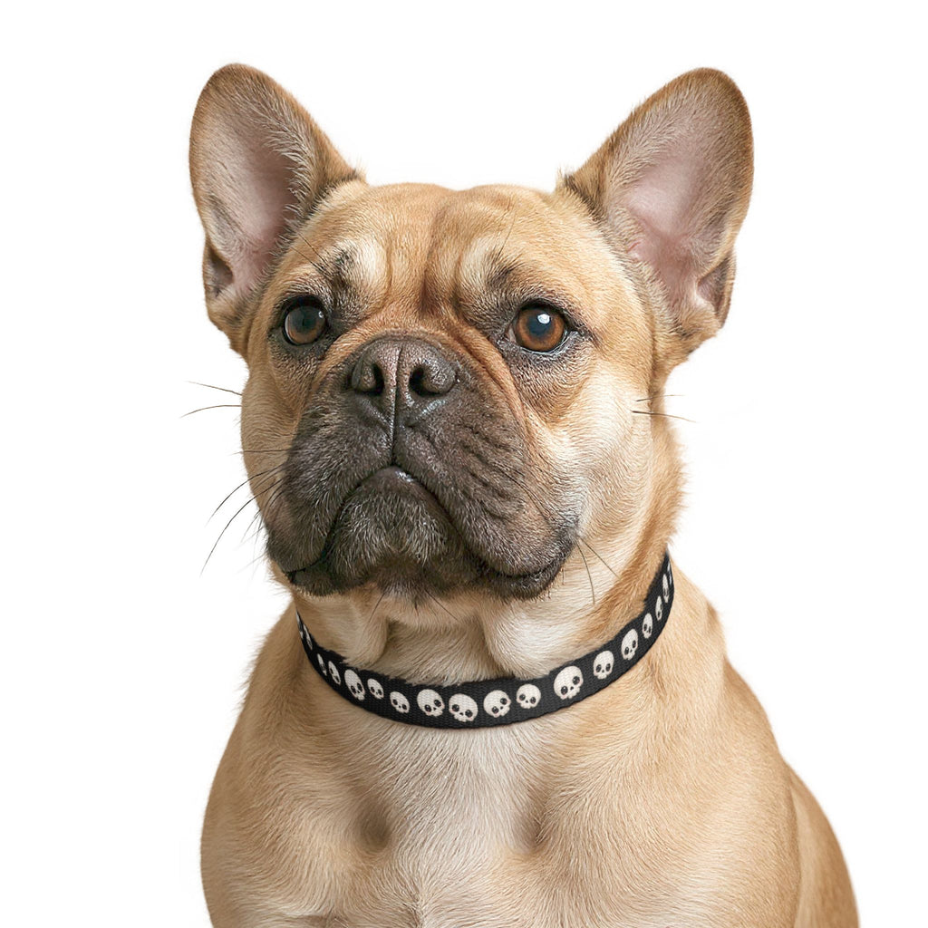 Cute Skull Dog Collar – Adjustable Gothic Pet Collar