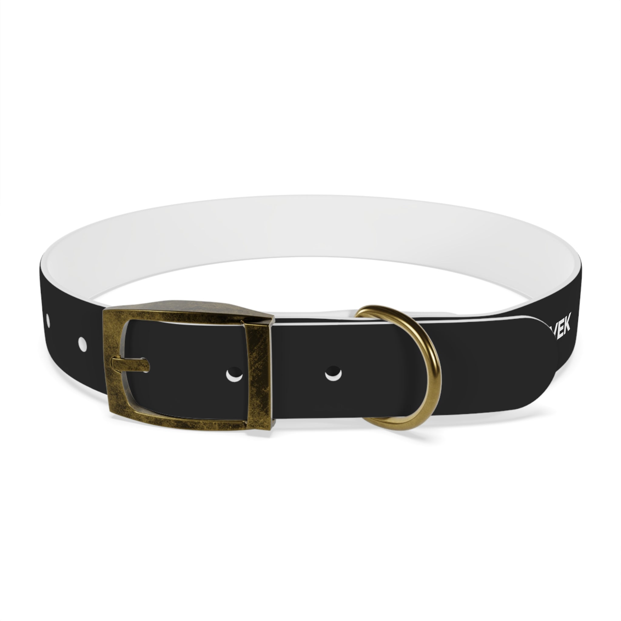 ZYVEK Gothic “Best Friend Forever” Dog Collar – Minimal Skull Edition