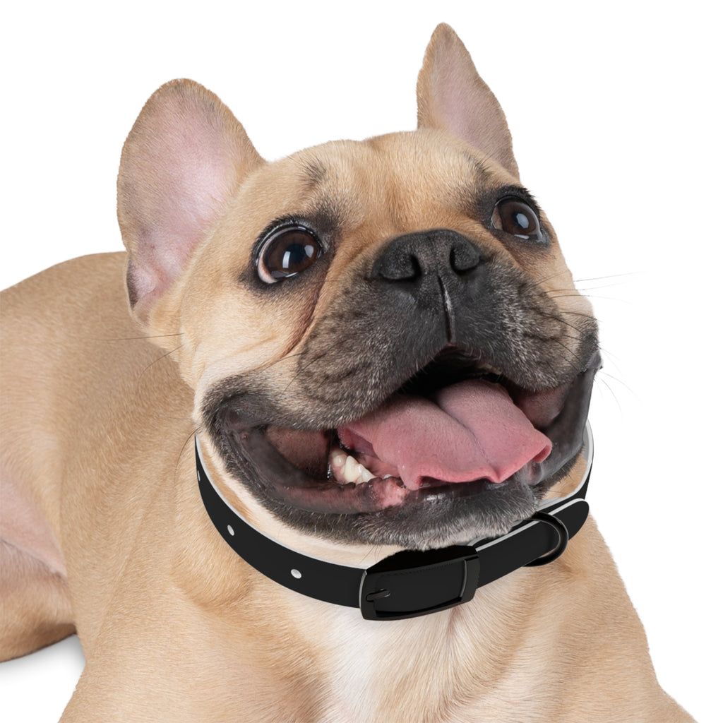 ZYVEK Gothic “Best Friend Forever” Dog Collar – Minimal Skull Edition