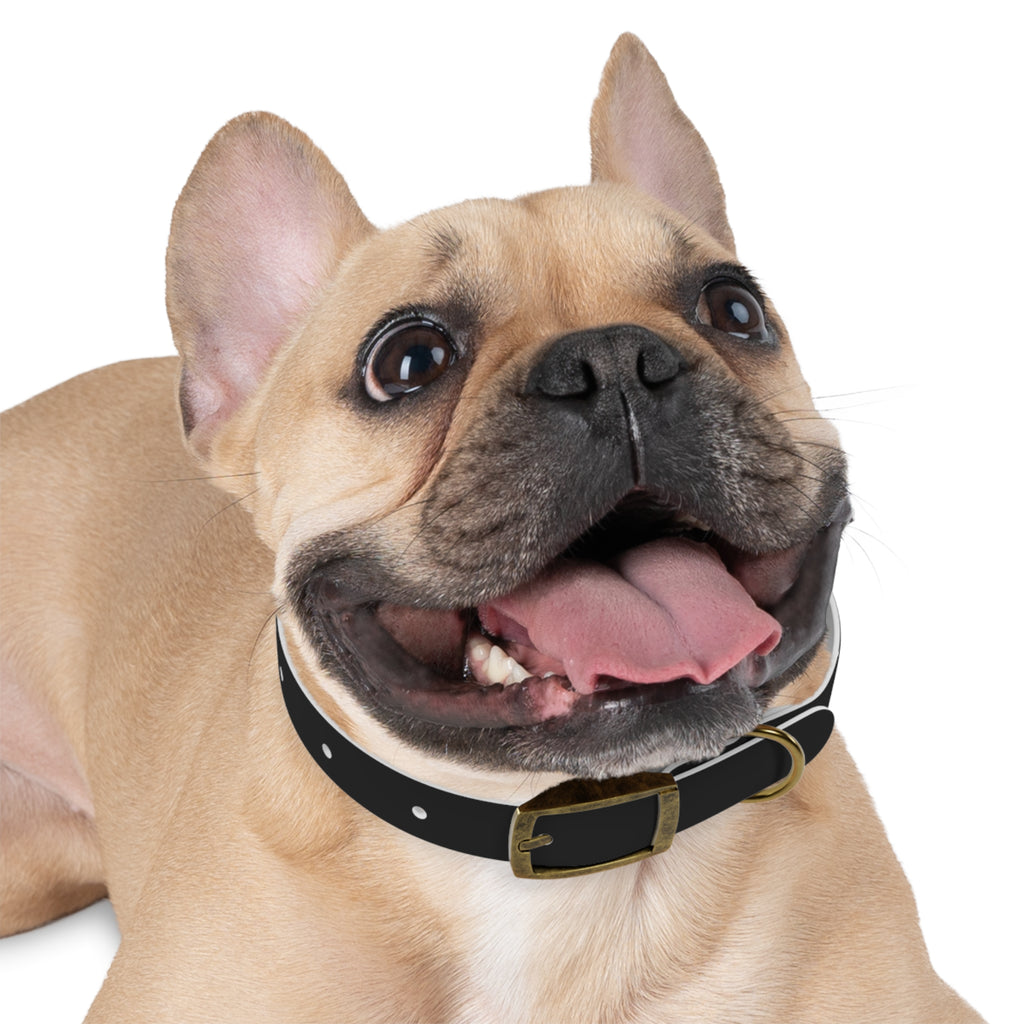 ZYVEK Gothic “Best Friend Forever” Dog Collar – Minimal Skull Edition