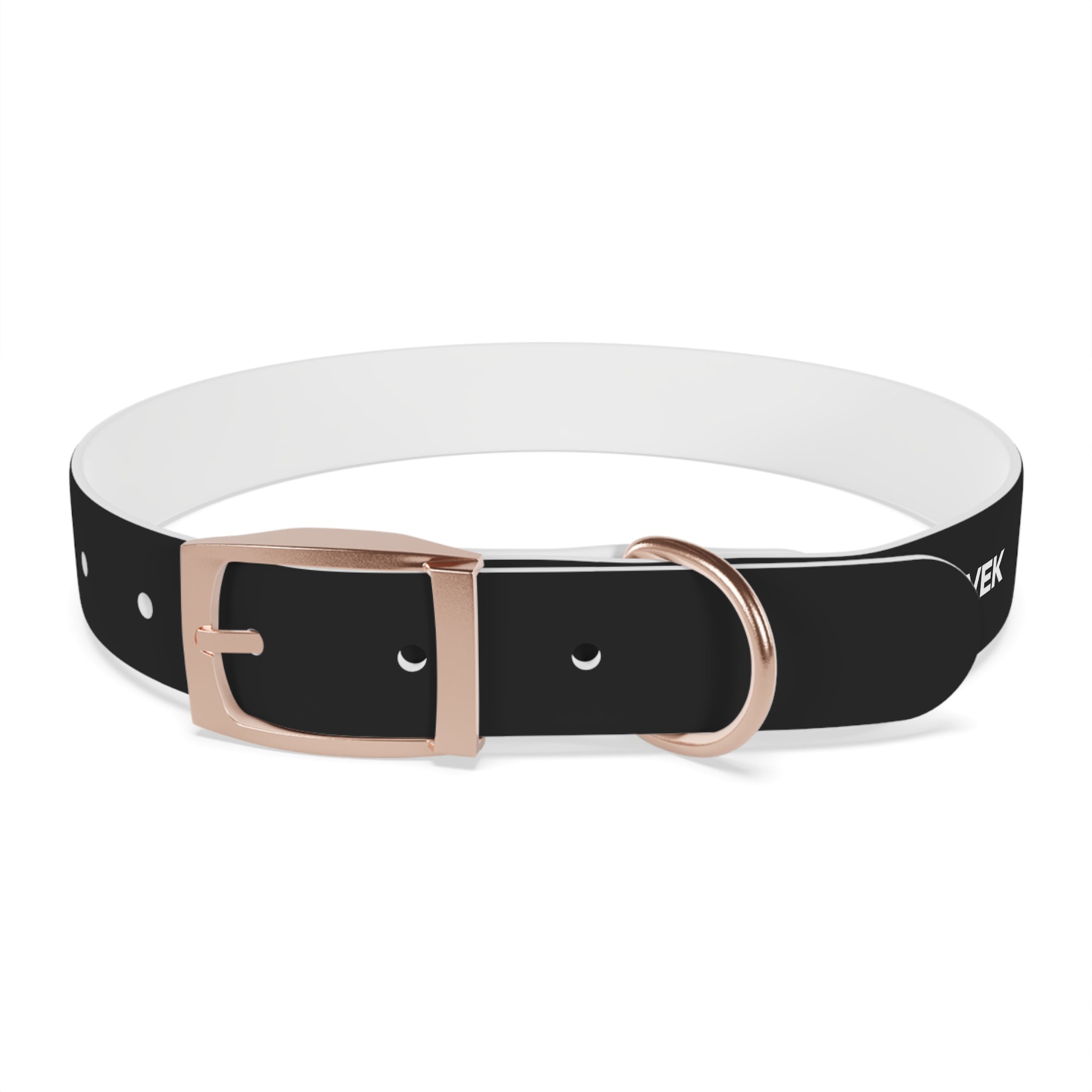 ZYVEK Gothic “Best Friend Forever” Dog Collar – Minimal Skull Edition