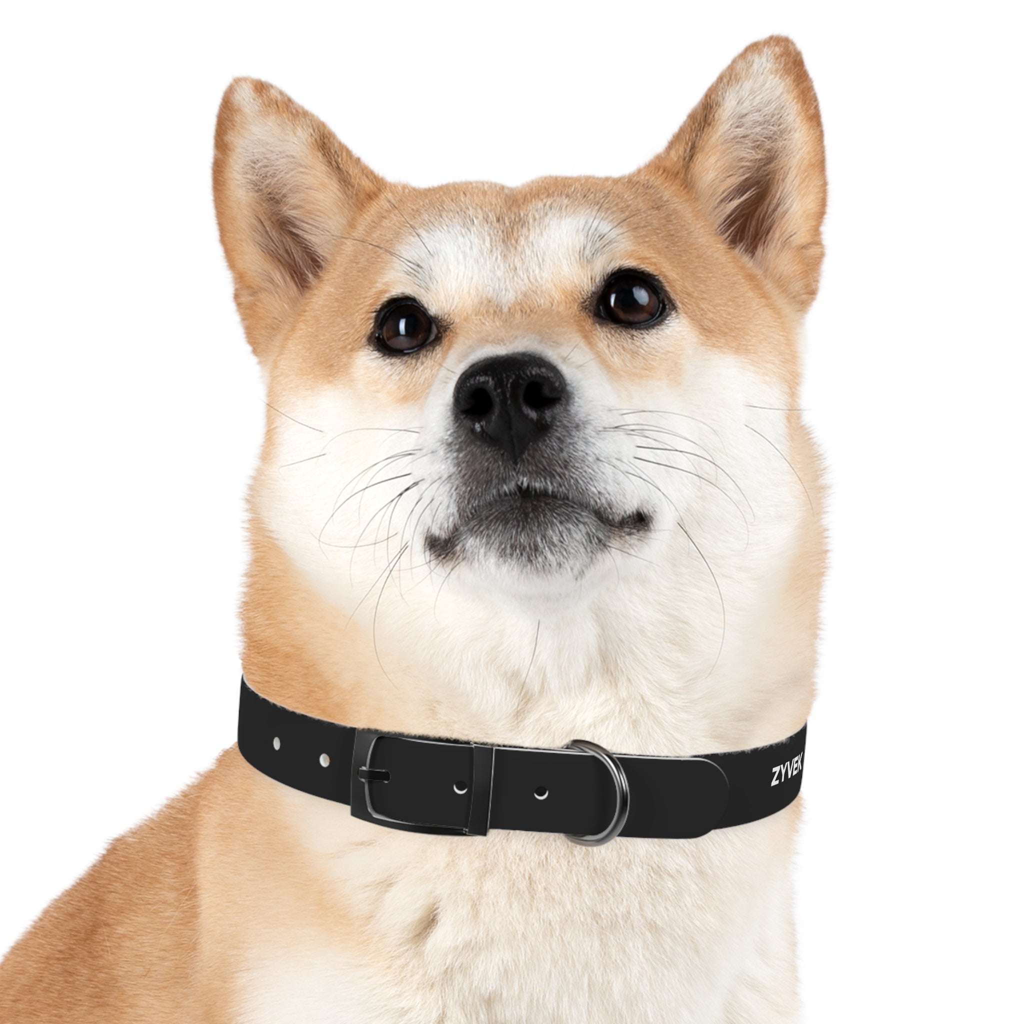 ZYVEK Gothic “Best Friend Forever” Dog Collar – Minimal Skull Edition