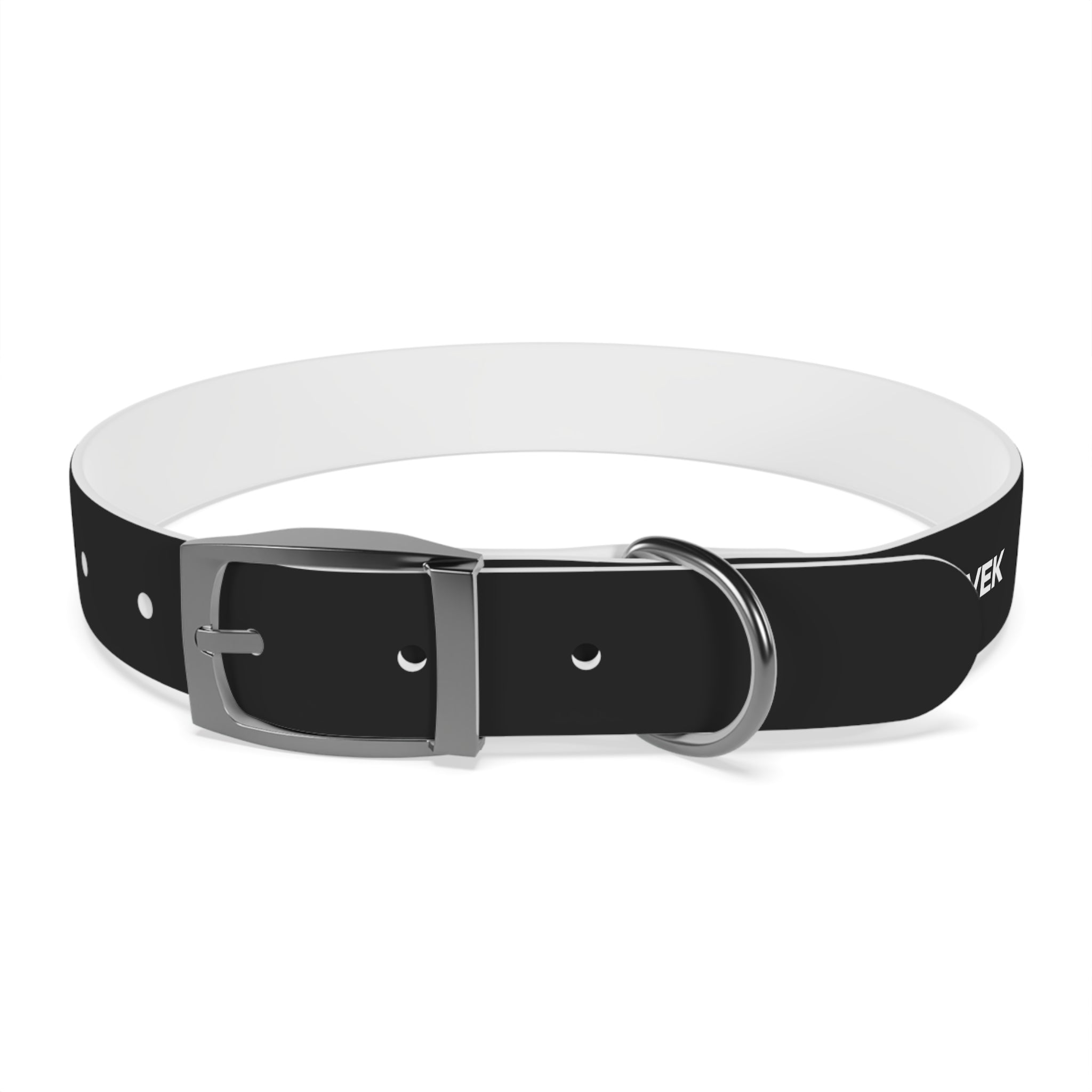 ZYVEK Gothic “Best Friend Forever” Dog Collar – Minimal Skull Edition