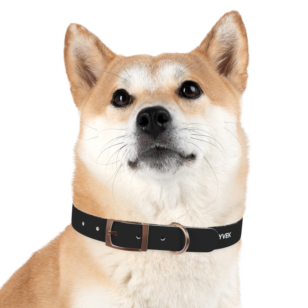 ZYVEK Gothic “Best Friend Forever” Dog Collar – Minimal Skull Edition