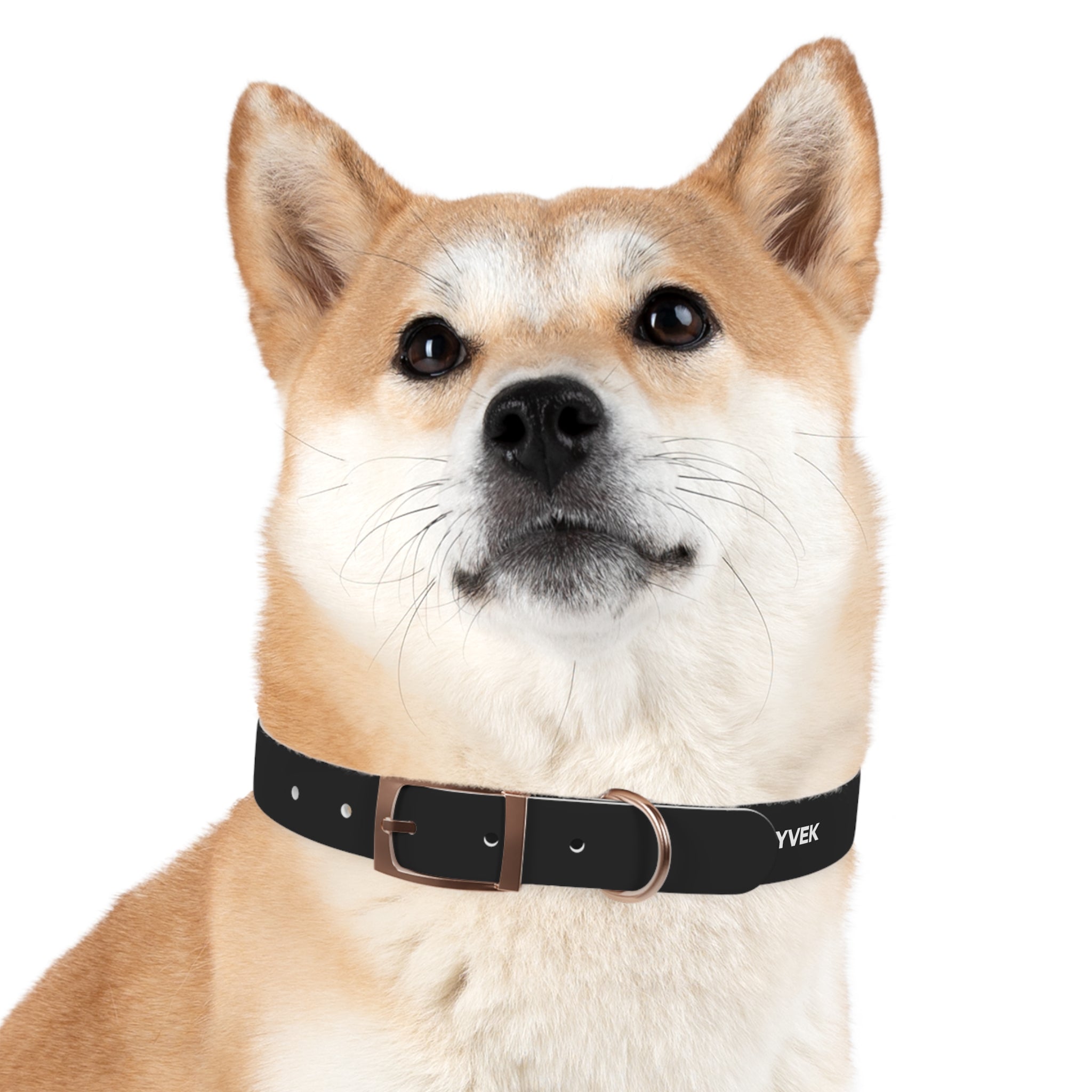ZYVEK Gothic “Best Friend Forever” Dog Collar – Minimal Skull Edition