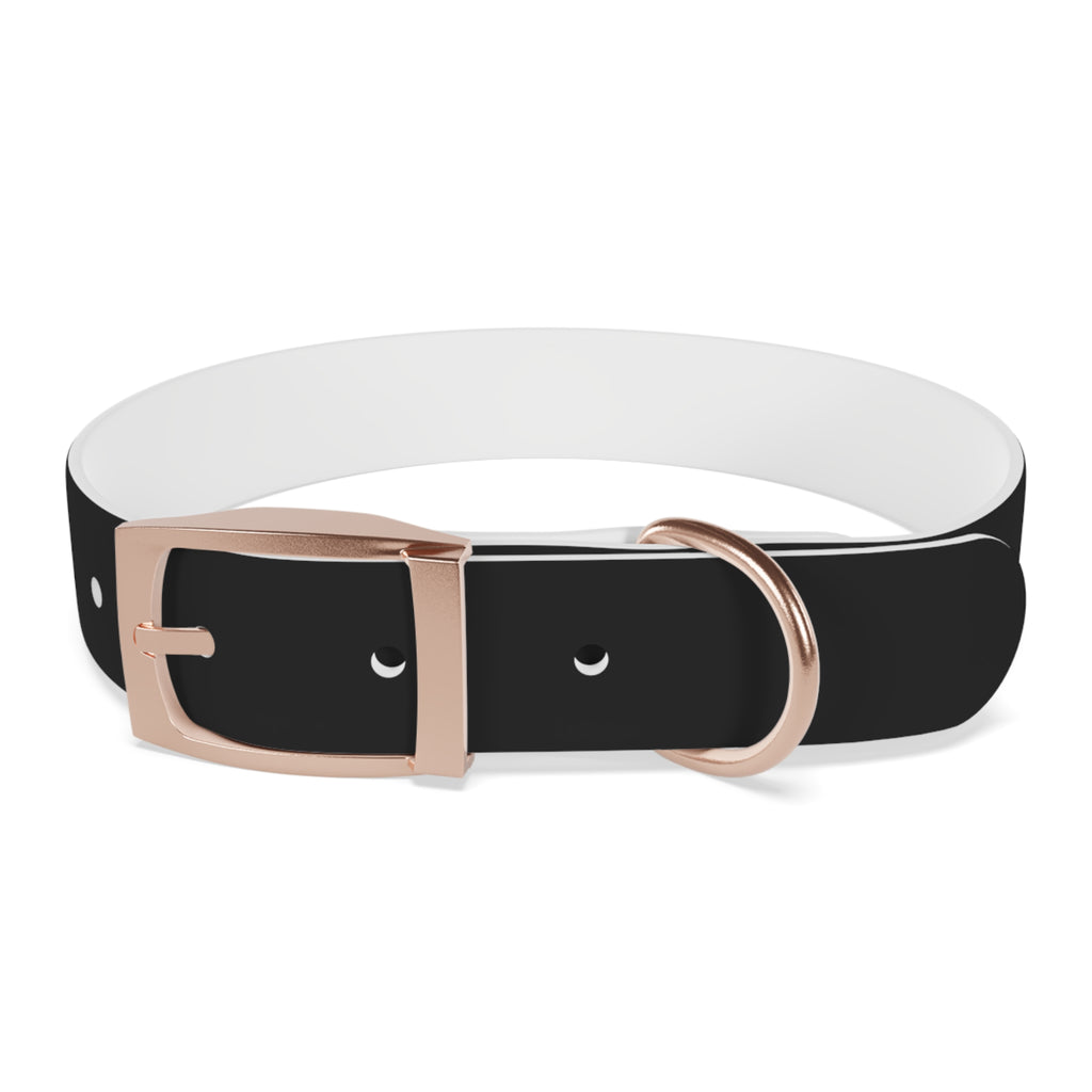 ZYVEK Gothic “Best Friend Forever” Dog Collar – Minimal Skull Edition