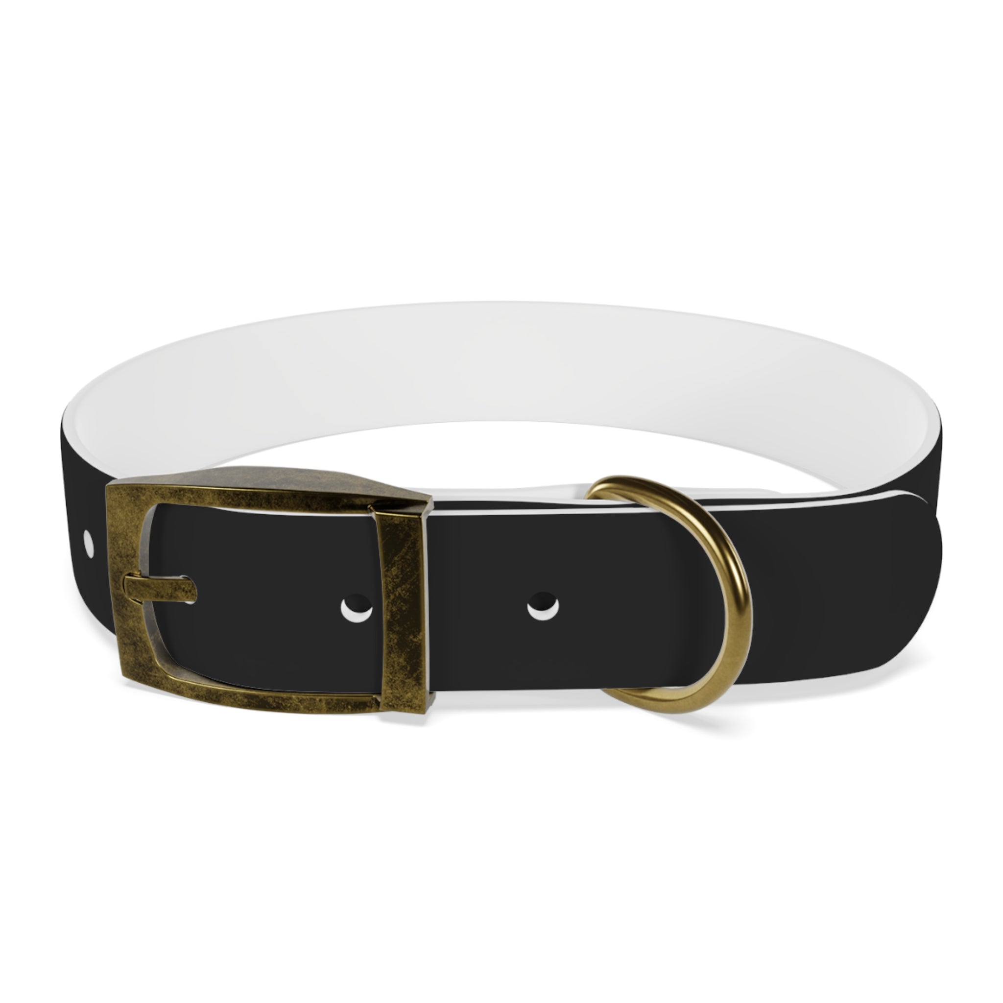 ZYVEK Gothic “Best Friend Forever” Dog Collar – Minimal Skull Edition