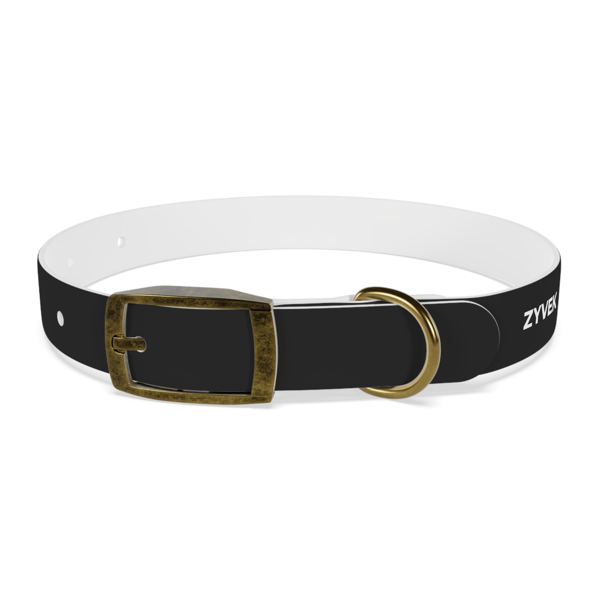 ZYVEK Gothic “Best Friend Forever” Dog Collar – Minimal Skull Edition