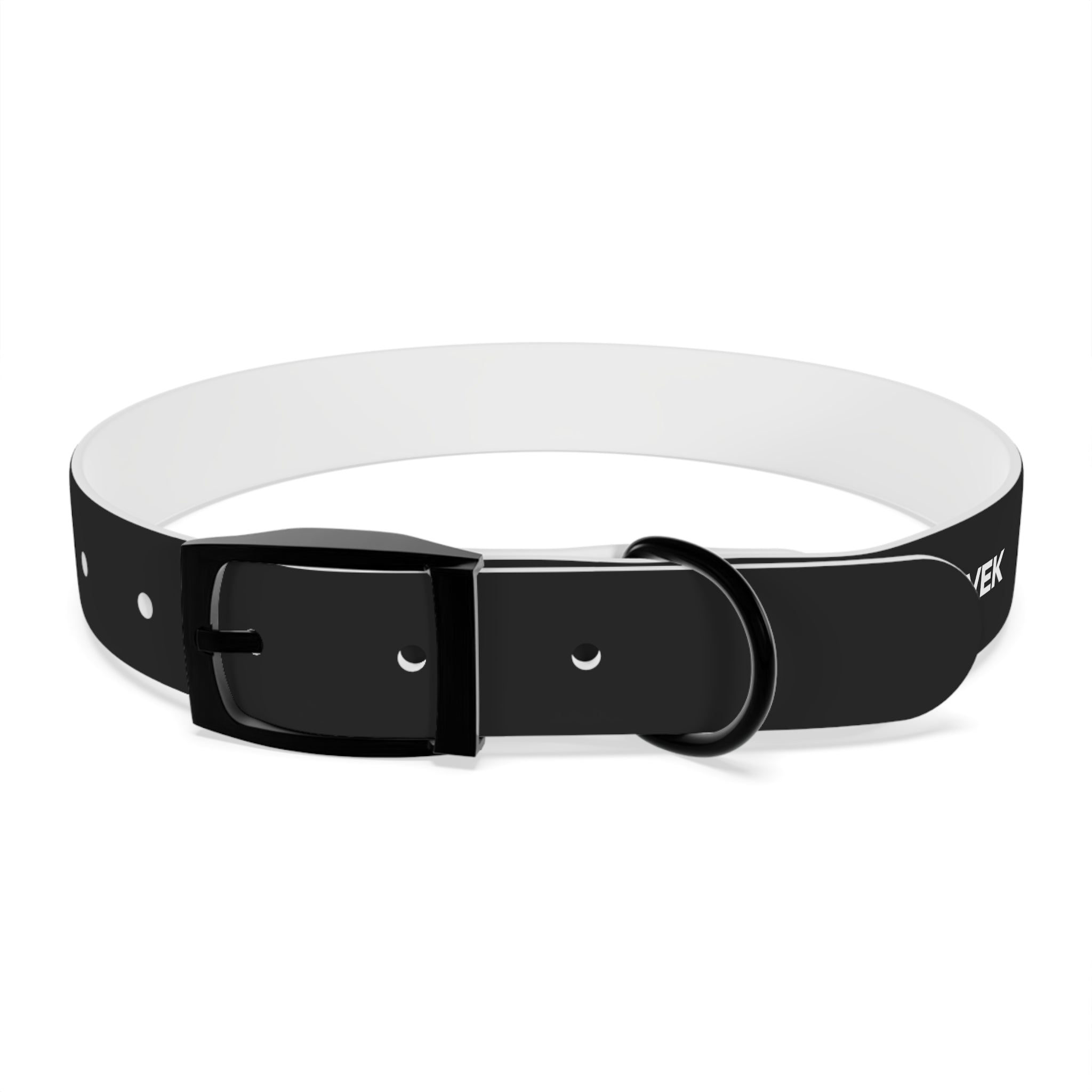 ZYVEK Gothic “Best Friend Forever” Dog Collar – Minimal Skull Edition