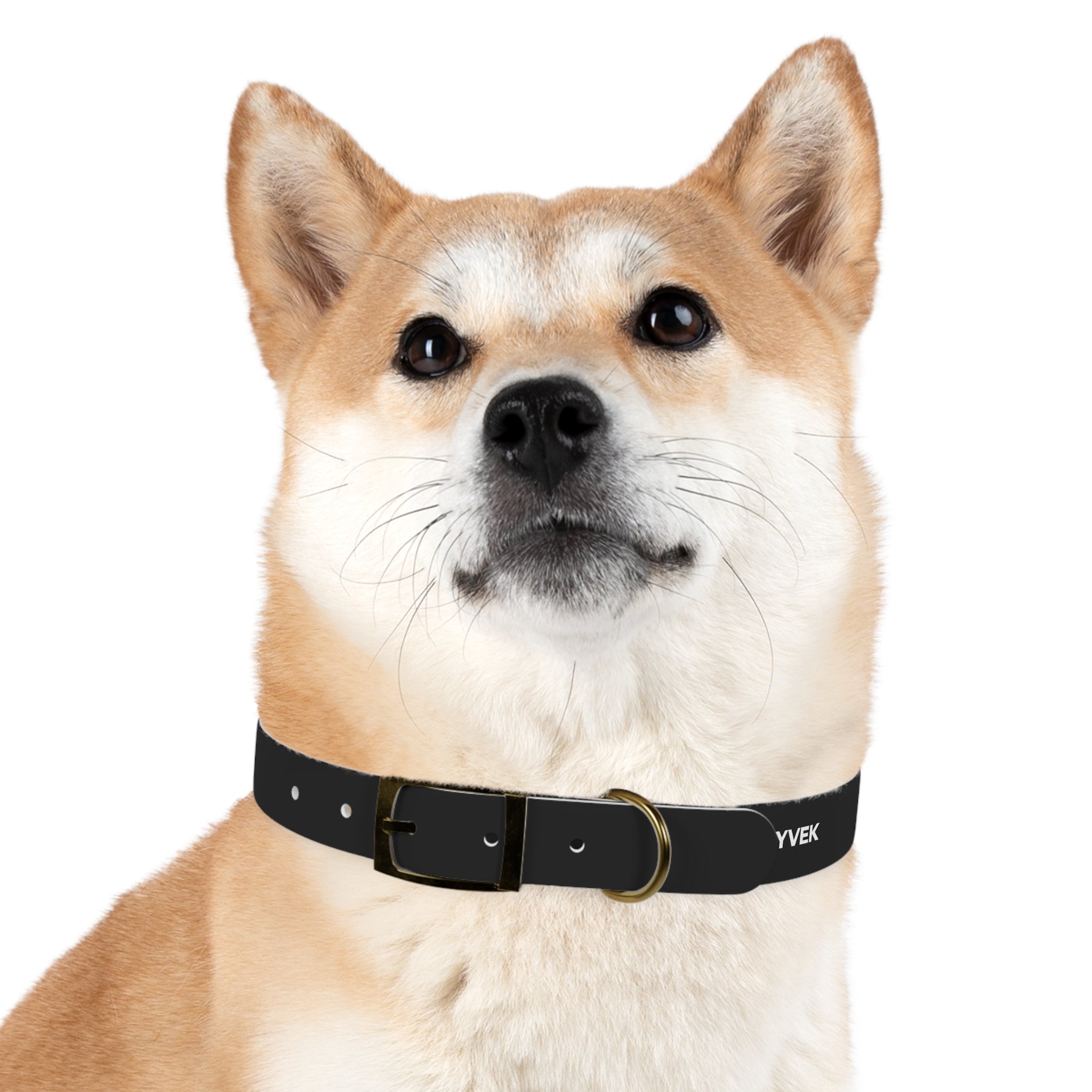 ZYVEK Gothic “Best Friend Forever” Dog Collar – Minimal Skull Edition