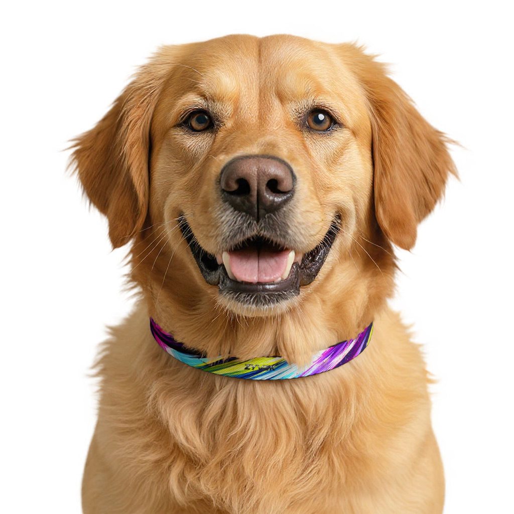 ZYVEK NeonWave Dog Collar – Adjustable Colorful Pet Collar