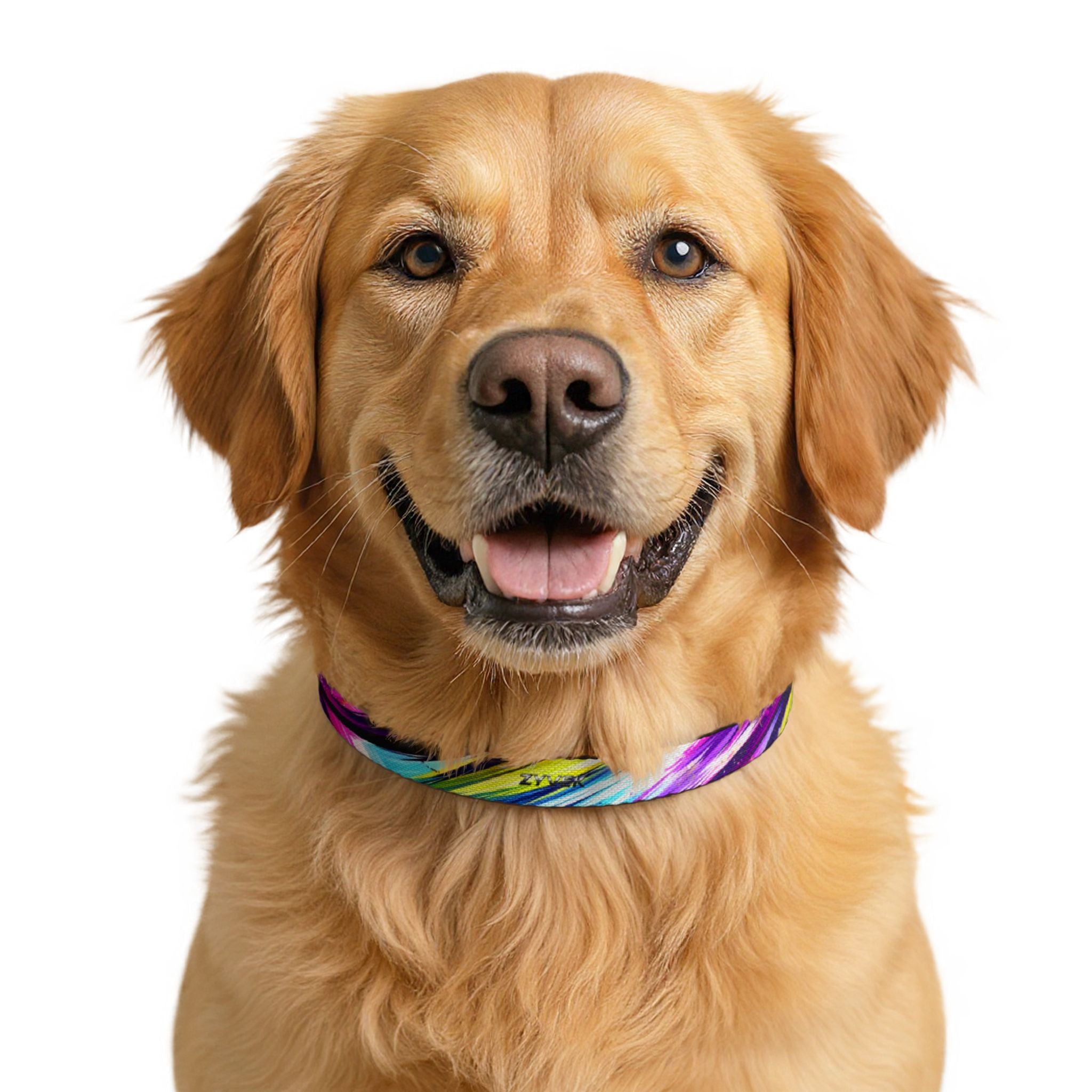ZYVEK NeonWave Dog Collar – Adjustable Colorful Pet Collar