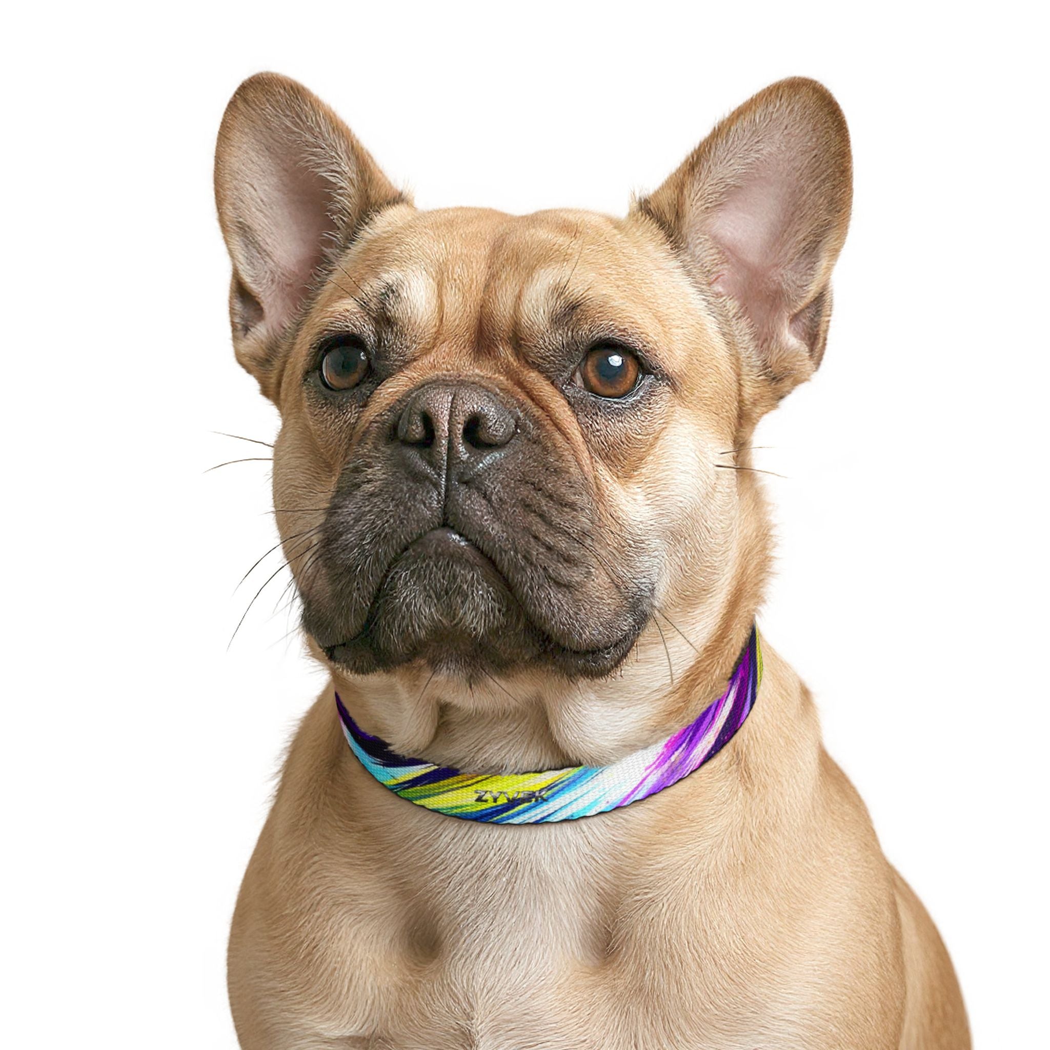ZYVEK NeonWave Dog Collar – Adjustable Colorful Pet Collar