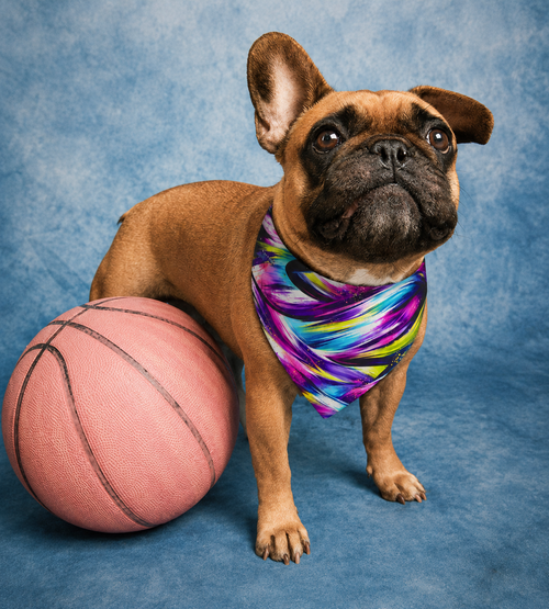ColorWave Dog Bandana Collar – Vibrant Stylish Pet Accessory
